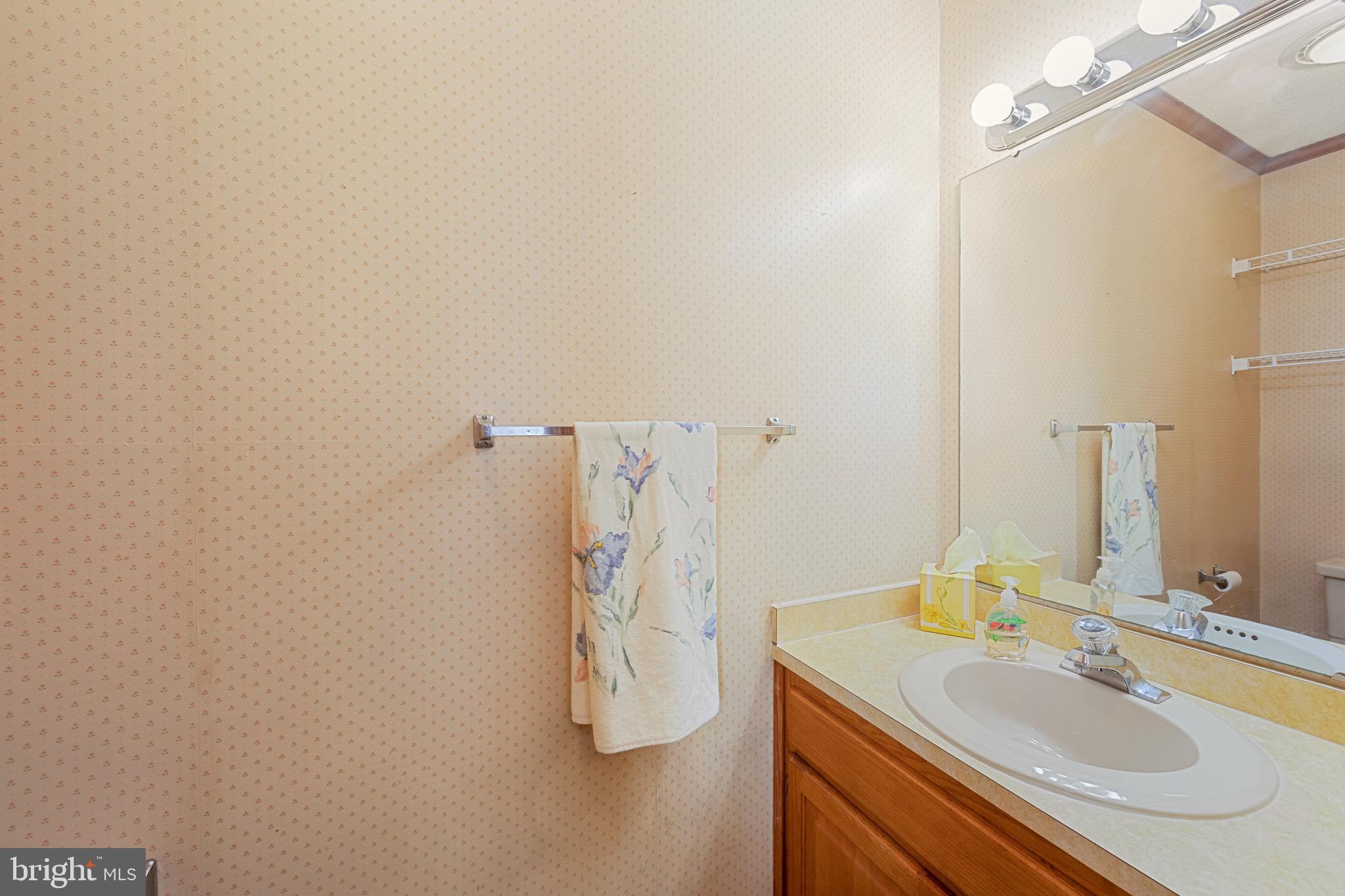 34617 St George Road Delmar, DE 19940 - Photo 16 of 39 Half Bath