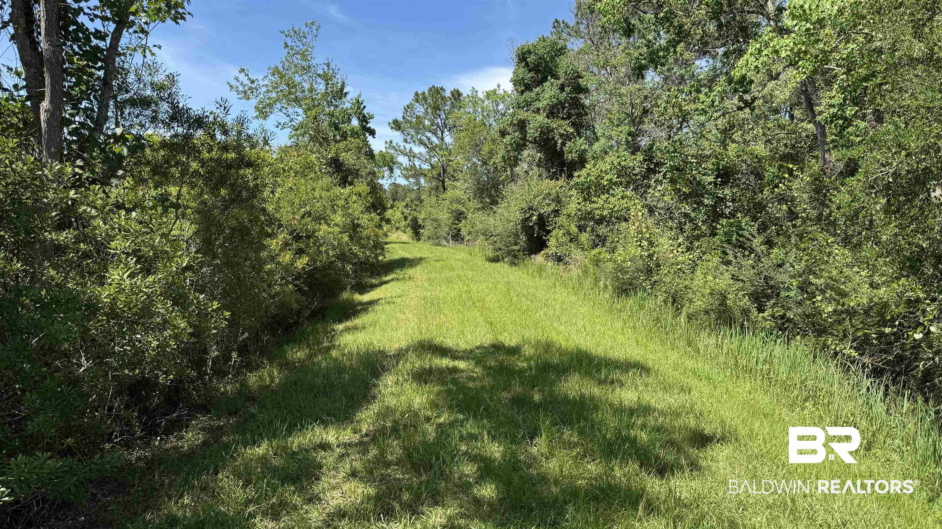 0 County Road 87 Elberta, AL 36530 - Photo 24 of 46