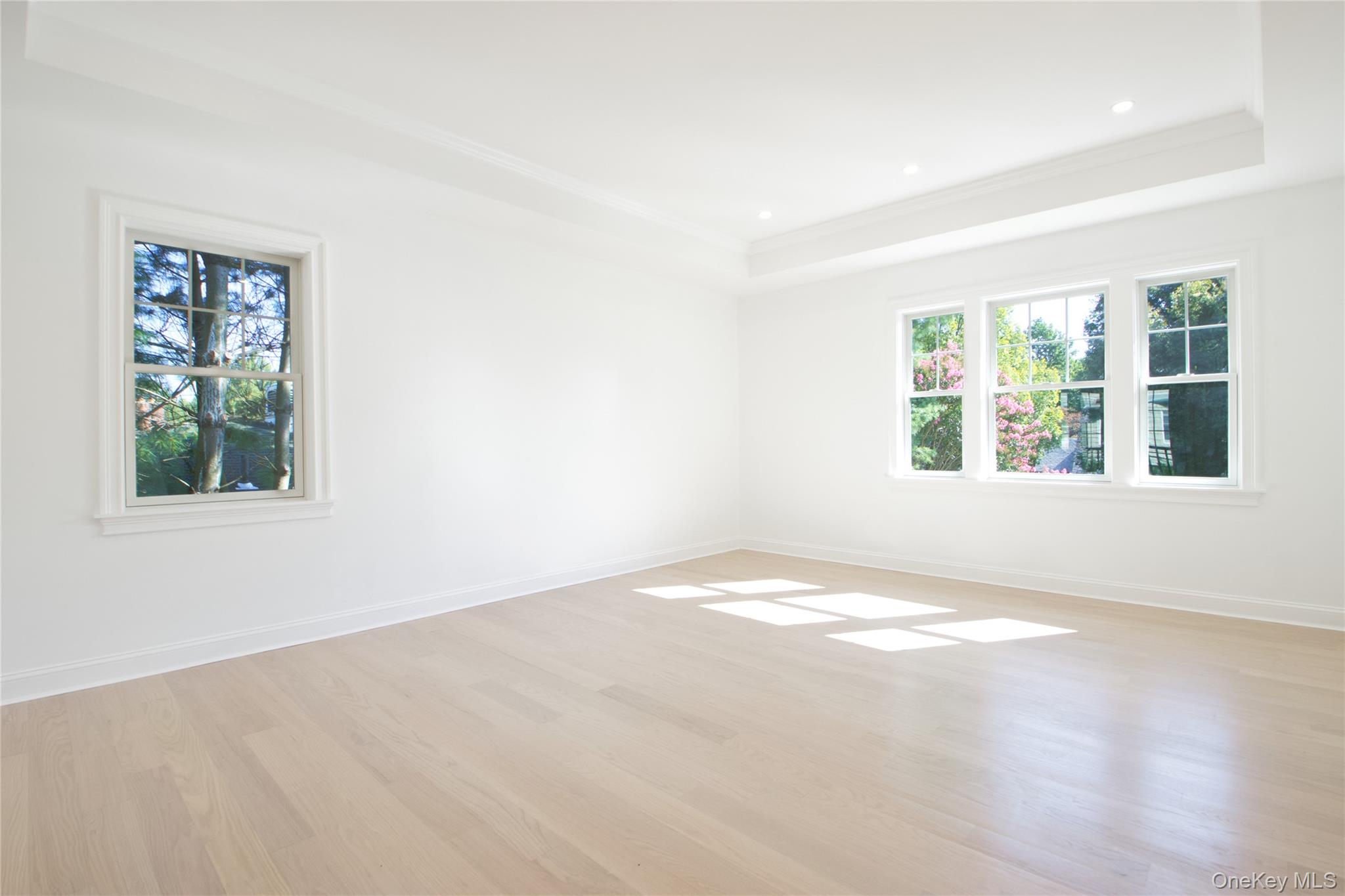 108 Tanners Pond Road Garden City, NY 11530 - Photo 14 of 27 Empty room with light wood-type flooring, a raised ceiling, and recessed lighting