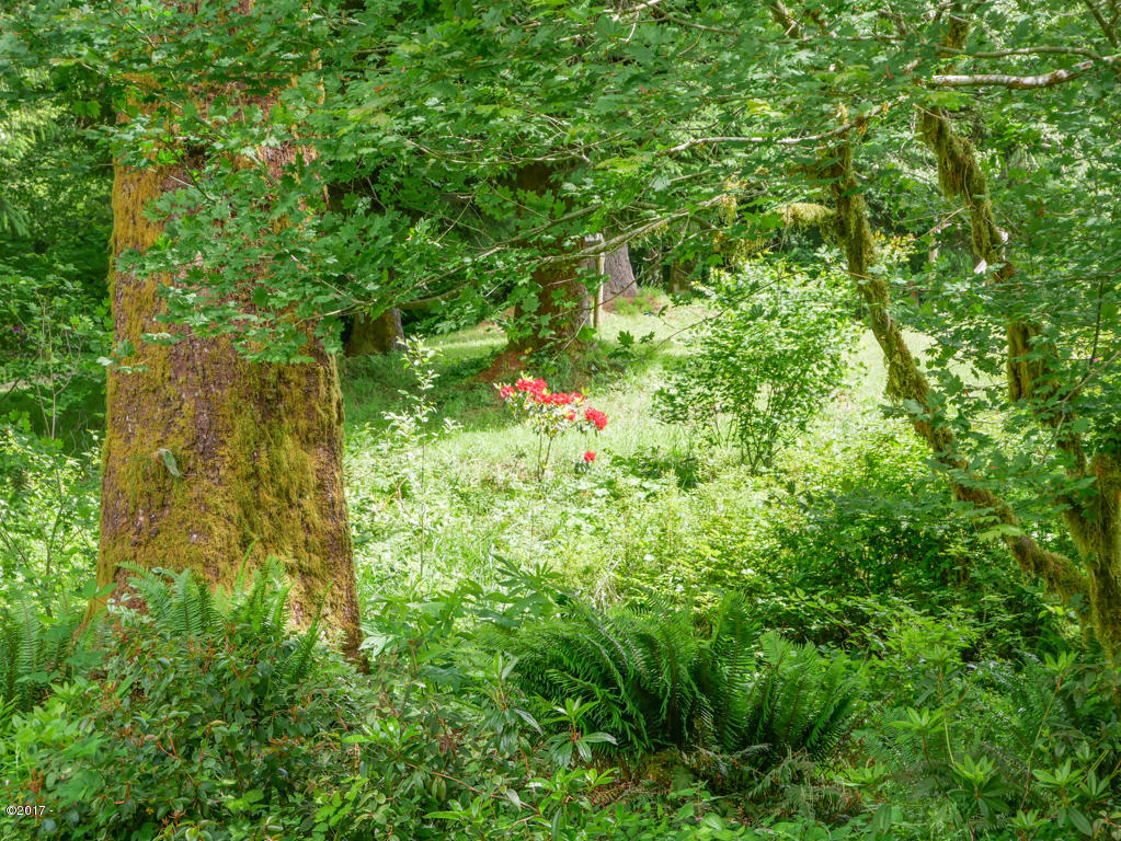 847 Hamer Road Siletz, OR 97380 - Photo 53 of 79 Yard
