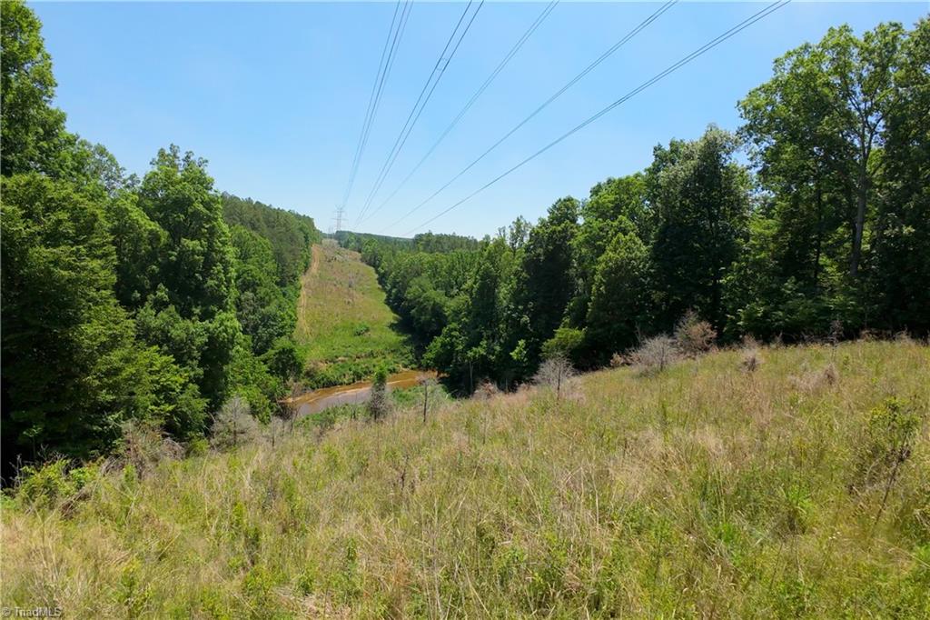 16 Roby Fulk Road Pinnacle, NC 27043 - Photo 8 of 19