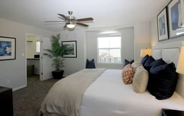 a bedroom with a bed a window and potted plant
