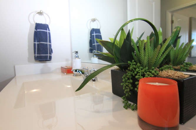 708 Tinton Falls Lane Pflugerville, TX 78660 - Photo 31 of 40 a vase of flowers sitting on a table