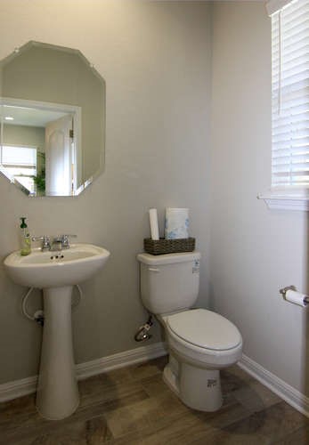 708 Tinton Falls Lane Pflugerville, TX 78660 - Photo 37 of 40 a bathroom with a sink toilet and mirror