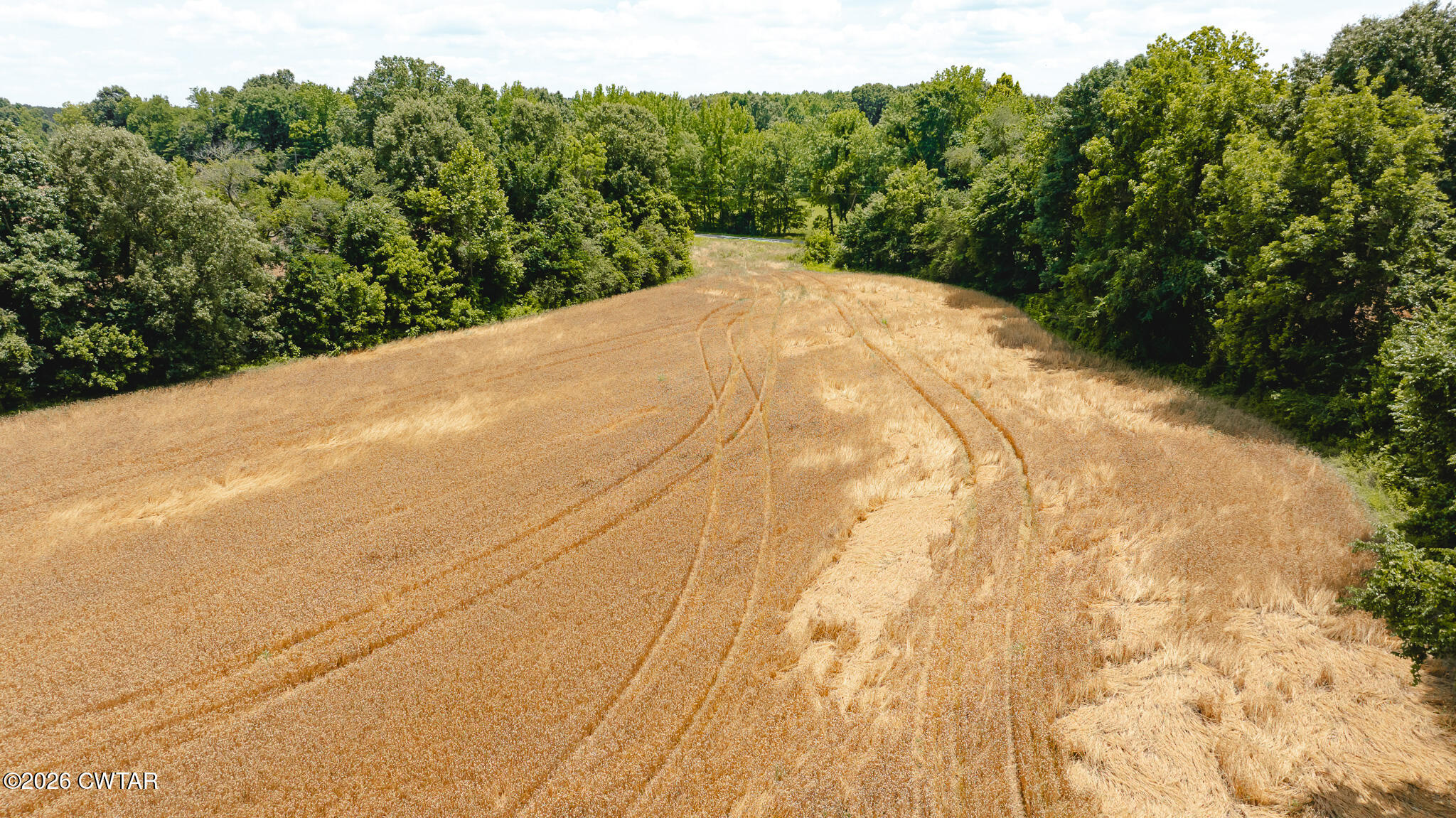 0 Will Young Road Greenfield, TN 38230 - Photo 5 of 17 DJI_20260602204457_0026_D
