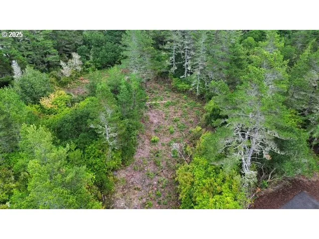 a open area with trees in the background