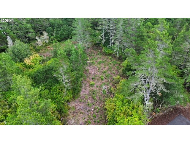 4 Bonnett Way Florence, OR 97439 - Photo 1 of 17 a open area with trees in the background