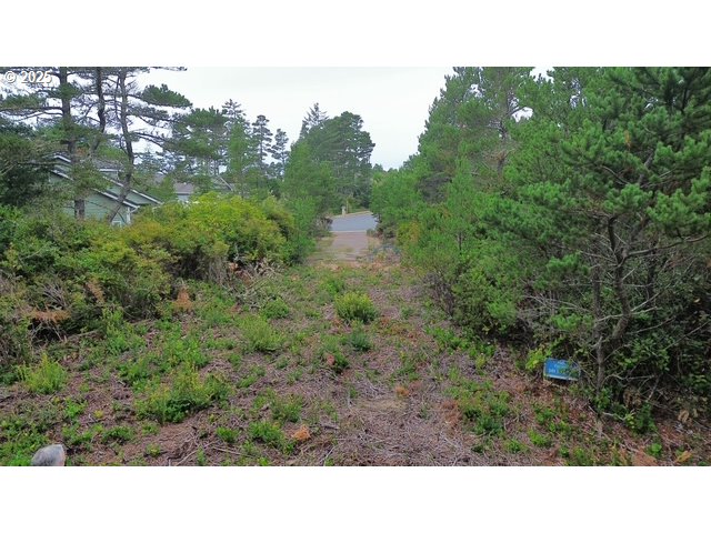 4 Bonnett Way Florence, OR 97439 - Photo 12 of 17 a black and white photo of a forest