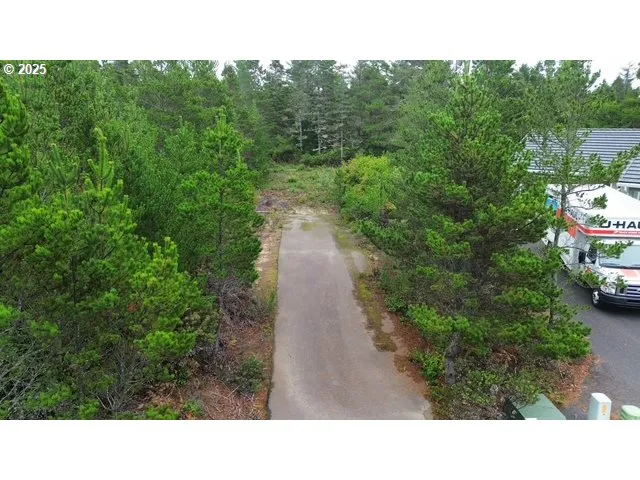 a black and white photo of a park