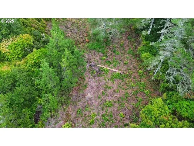 a open area with trees in the background