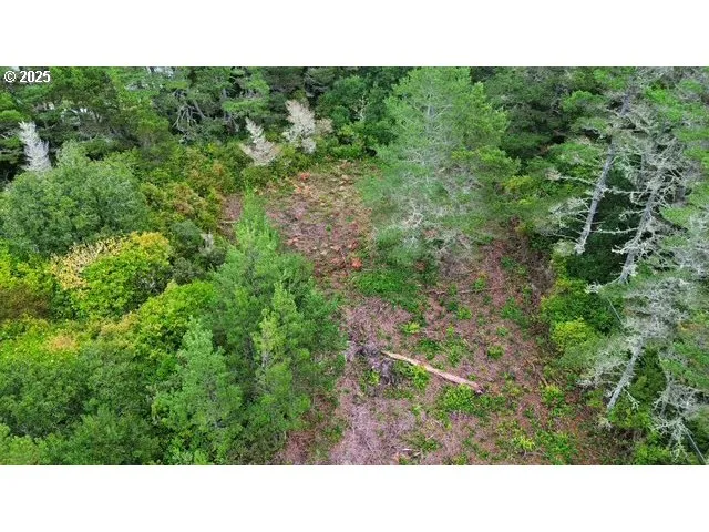 a open area with trees in the background