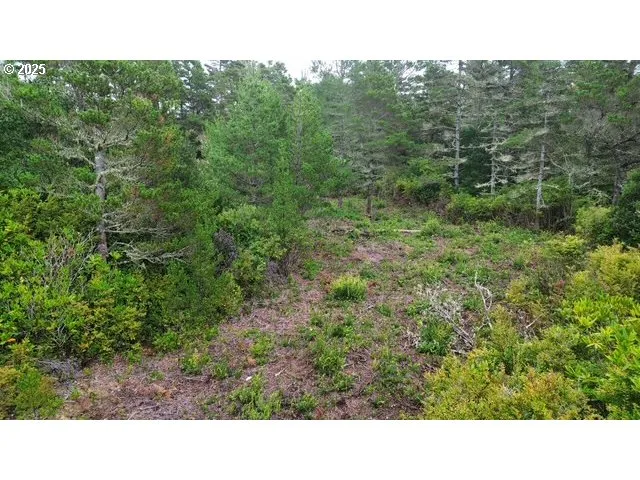 a open area with trees in the background