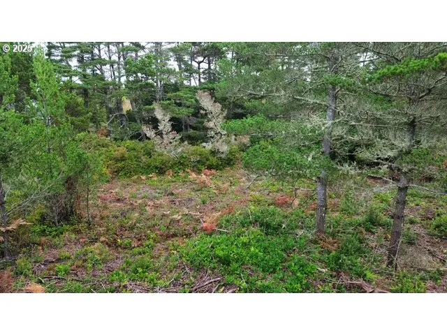 a open area with trees in the background