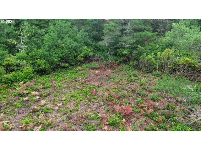 a open area with trees in the background