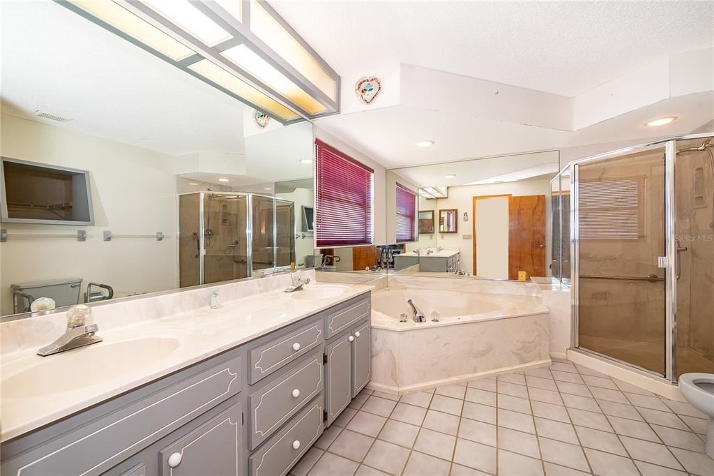 14604 Southwest 45th Circle Ocala, FL 34473 - Photo 20 of 28 a bathroom with a sink a large mirror and a bathtub