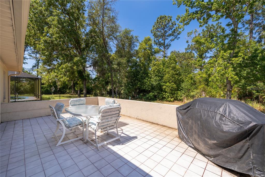 14604 Southwest 45th Circle Ocala, FL 34473 - Photo 26 of 28 a view of a chairs and table in the backyard