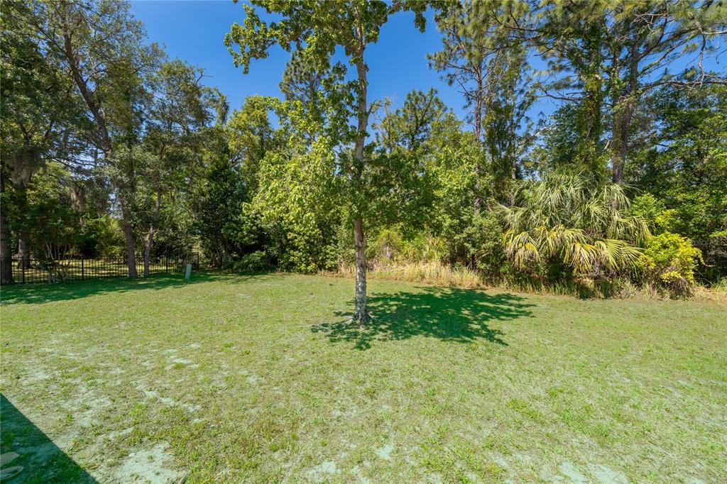 14604 Southwest 45th Circle Ocala, FL 34473 - Photo 28 of 28 a backyard of a house with lots of green space