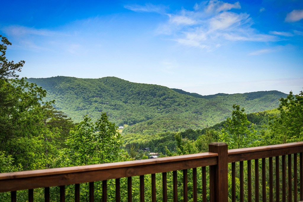 58 Overlook Drive Blue Ridge, GA 30513 - Photo 61 of 67 Gallery Image 61