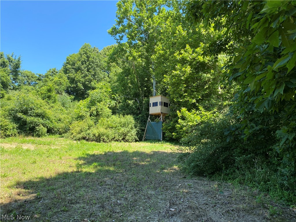 Ashton Hill Road Caldwell, OH 43724 - Photo 15 of 26