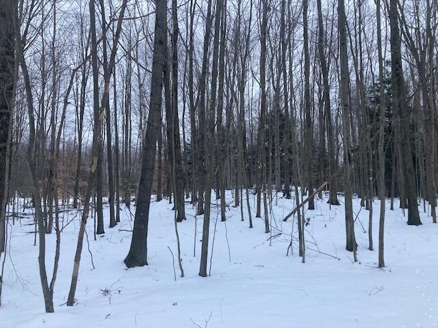 Eleven Mile Road Onekama, MI 49675 - Photo 2 of 9 IMG_1326