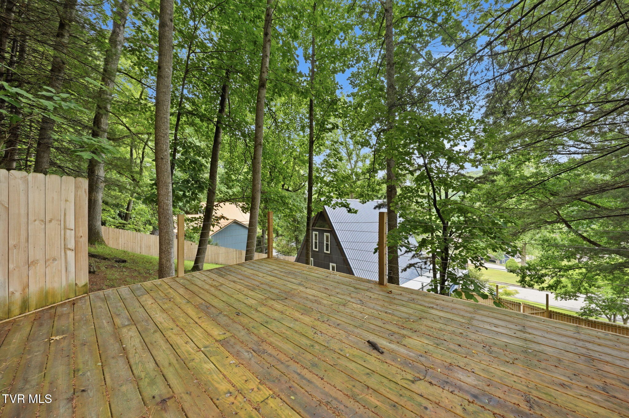 440 Lakeshore Road Bluff City, TN 37618 - Photo 45 of 56 46-web-or-mls-054_DSC01065