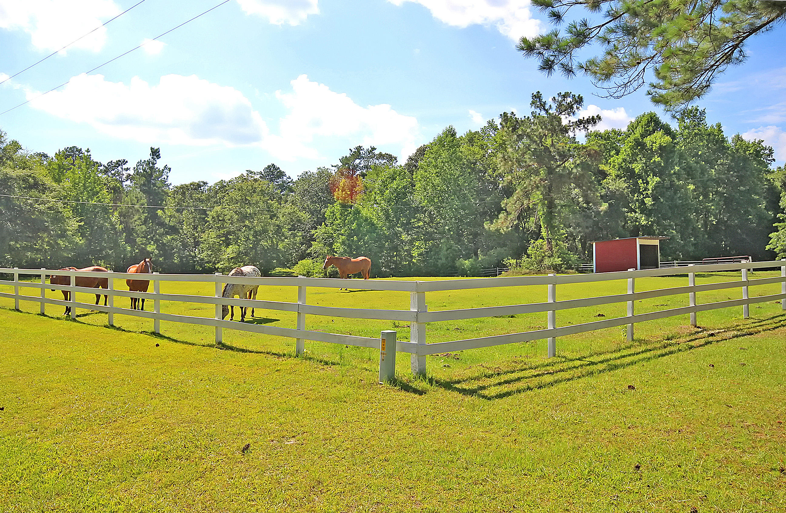 1016 Spring Hill Church Road Ridgeville, SC 29472 - Photo 32 of 49 1016 Springhill Church Rd