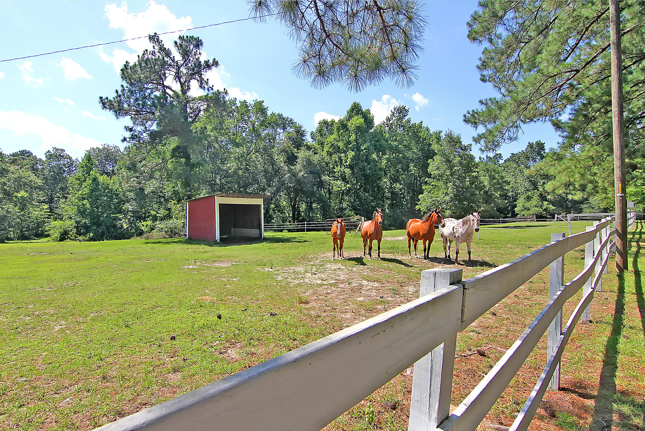 1016 Spring Hill Church Road Ridgeville, SC 29472 - Photo 34 of 49 1016 Springhill Church Rd