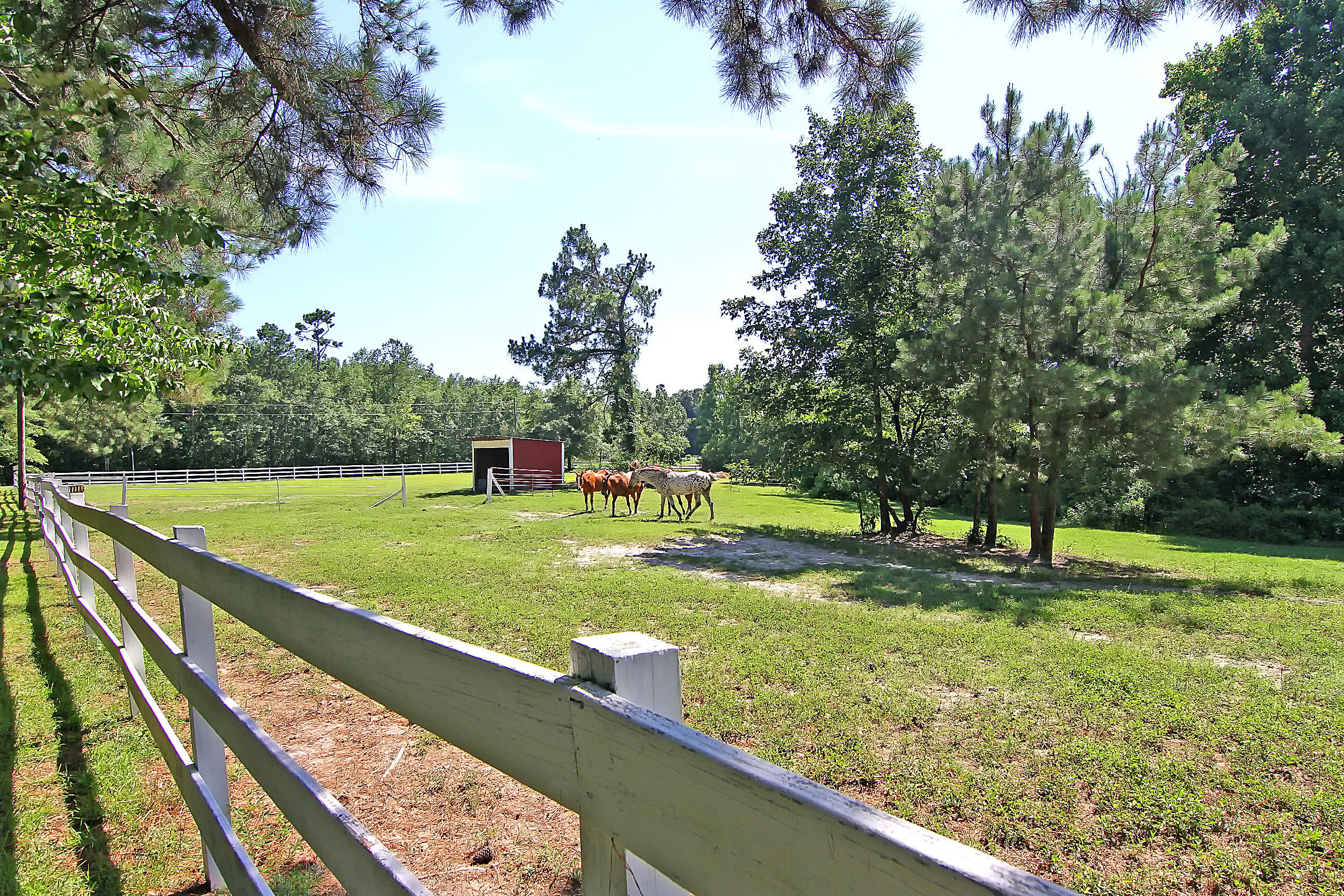 1016 Spring Hill Church Road Ridgeville, SC 29472 - Photo 35 of 49 1016 Springhill Church Rd