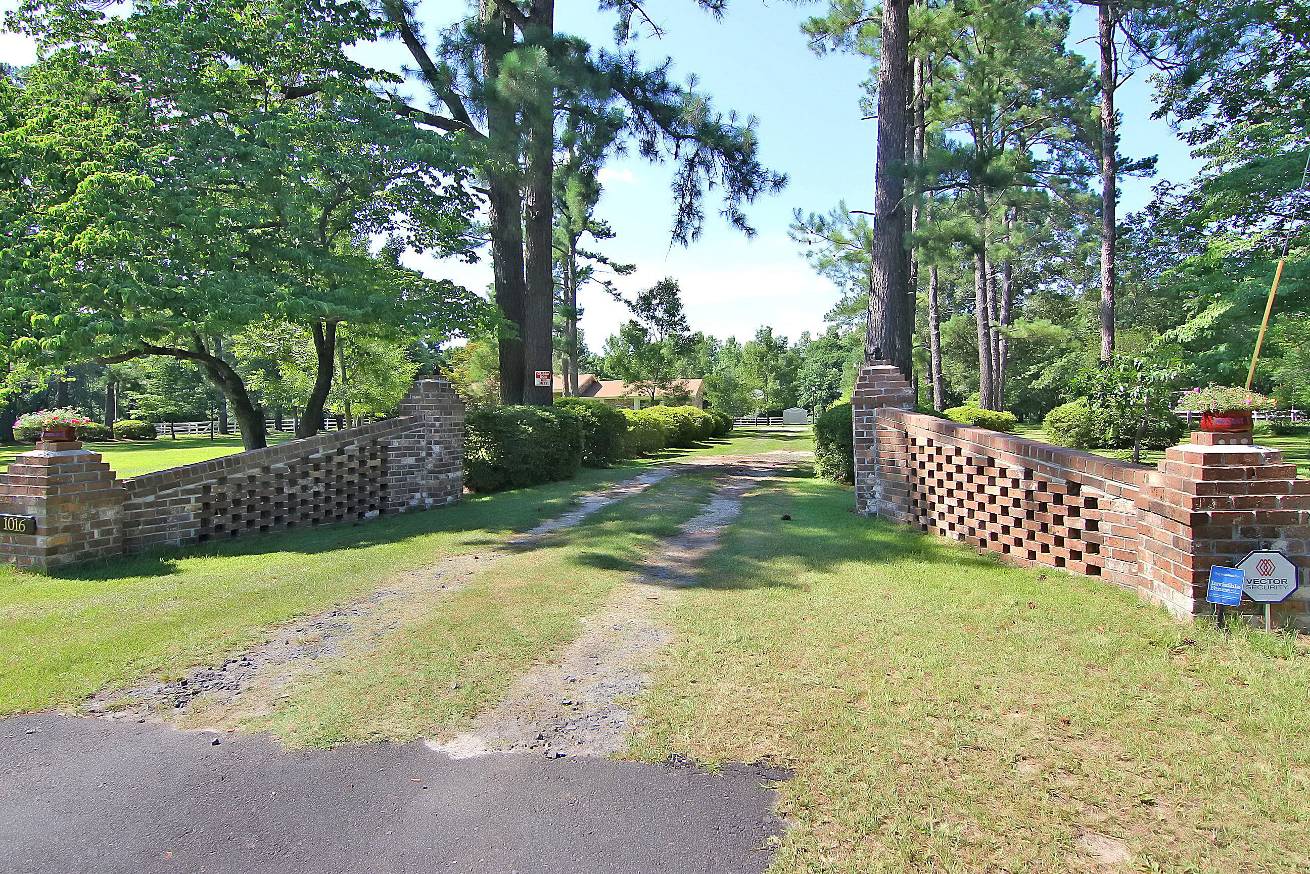 1016 Spring Hill Church Road Ridgeville, SC 29472 - Photo 5 of 49 Front Driveway