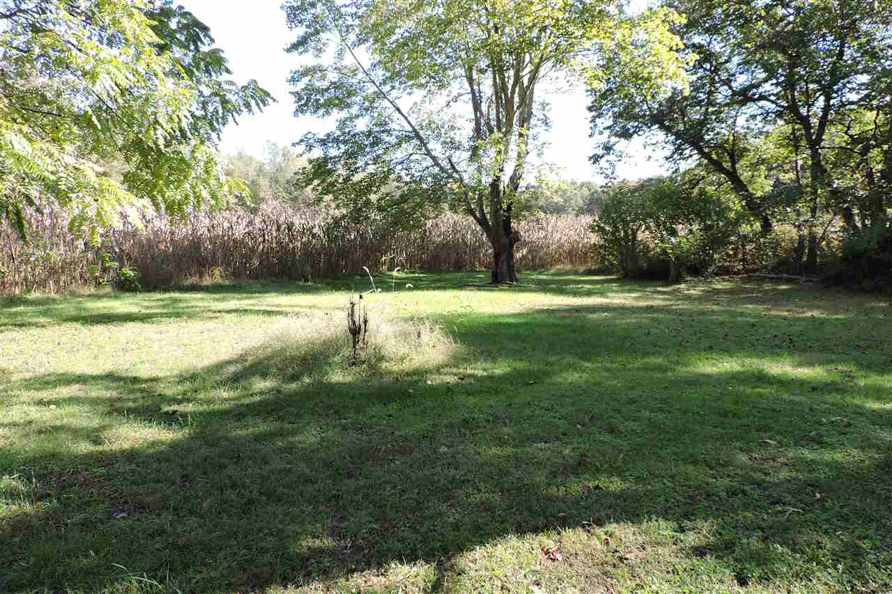2134 Mt Torrey Road Lyndhurst, VA 22952 - Photo 28 of 32 a view of a big yard with plants and large trees