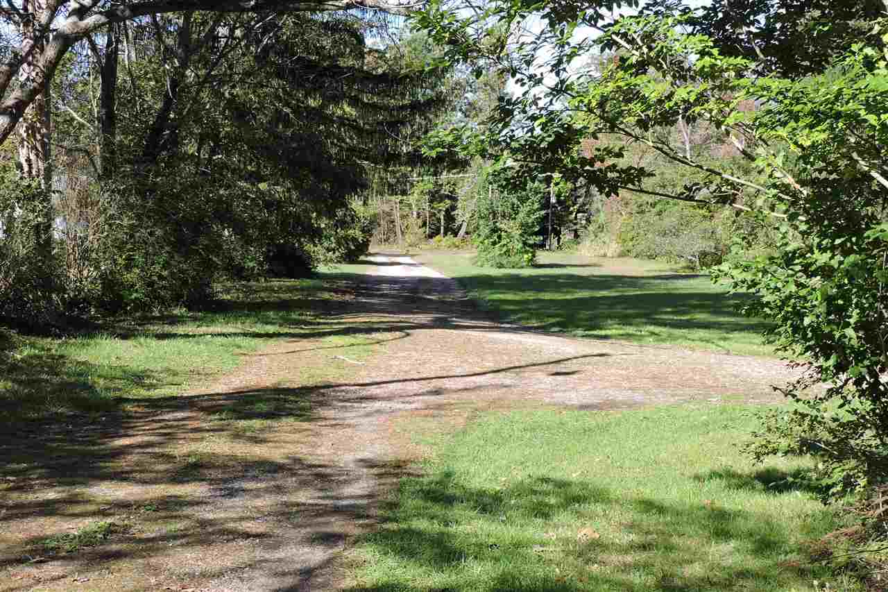 2134 Mt Torrey Road Lyndhurst, VA 22952 - Photo 31 of 32 a view of backyard with green space