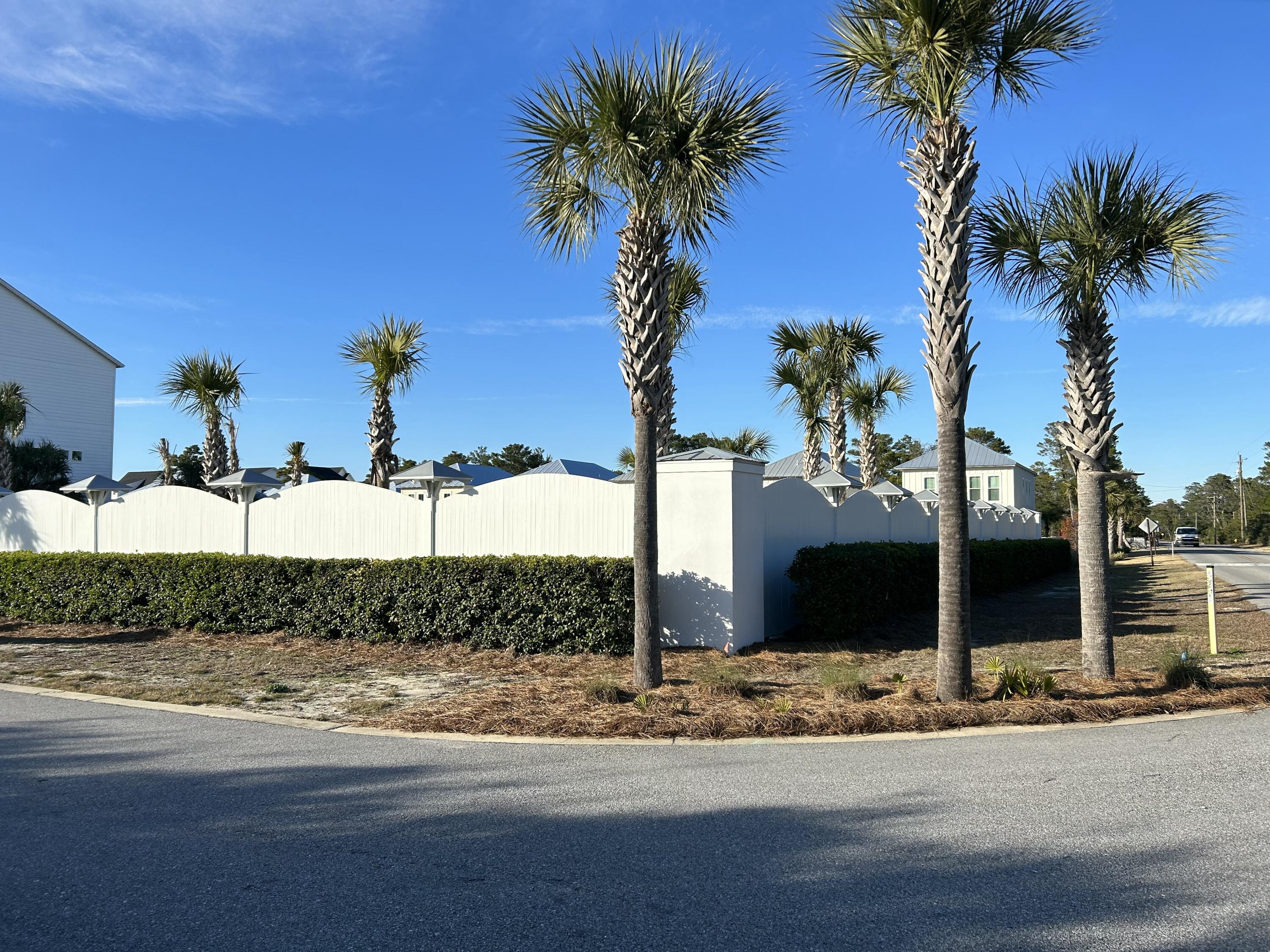 141 Valdare Ln Inlet Beach Inlet Beach, FL 32461 - Photo 50 of 55 a view of a house with a yard and palm trees