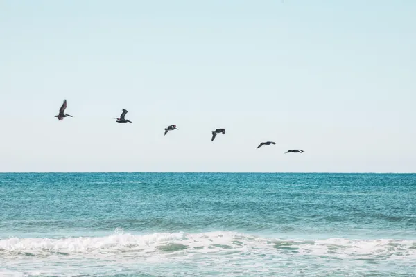 $7,200 | 141 Valdare Ln Inlet Beach, Inlet Beach, FL 32461