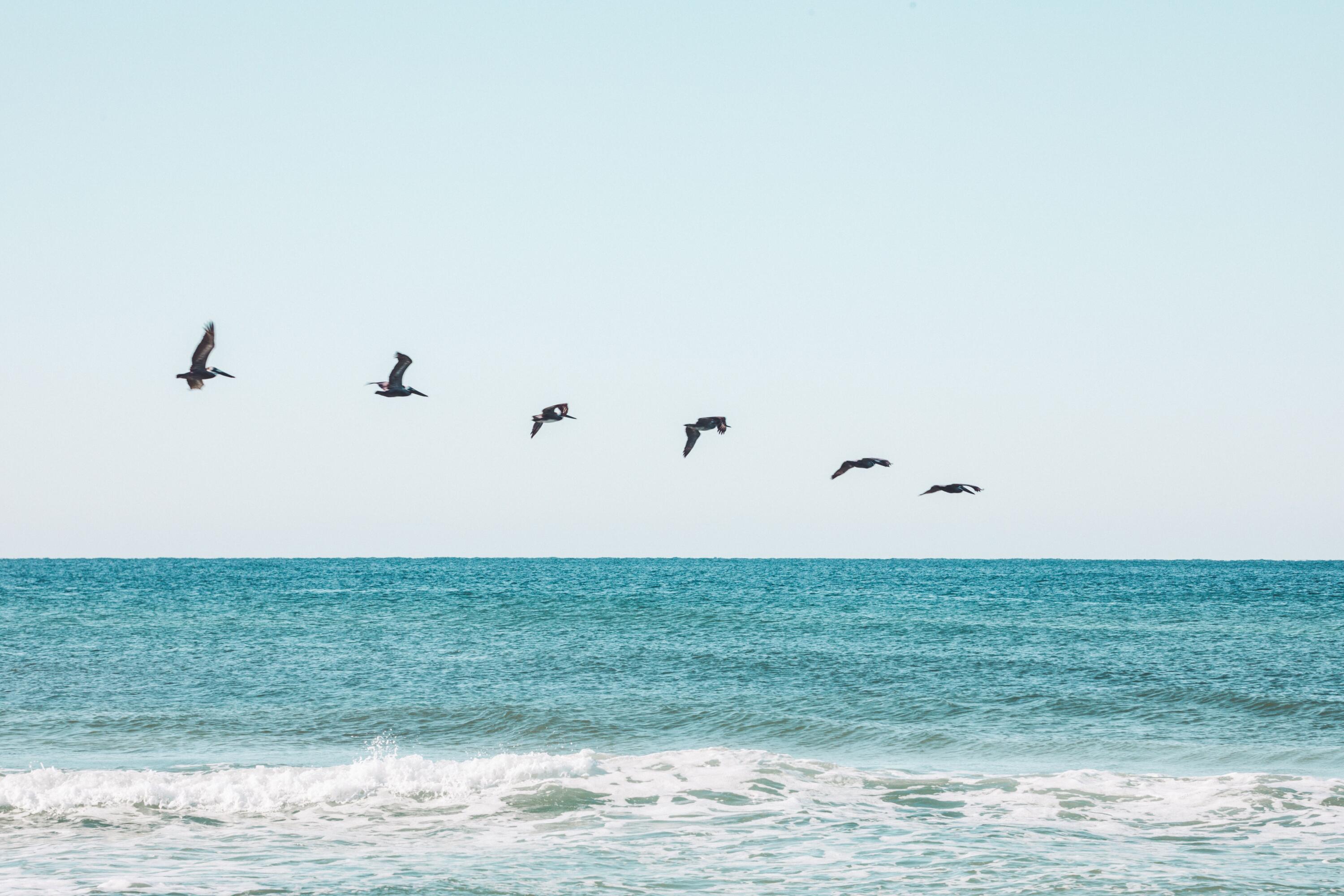 141 Valdare Ln Inlet Beach Inlet Beach, FL 32461 - Photo 54 of 55 a view of a lake