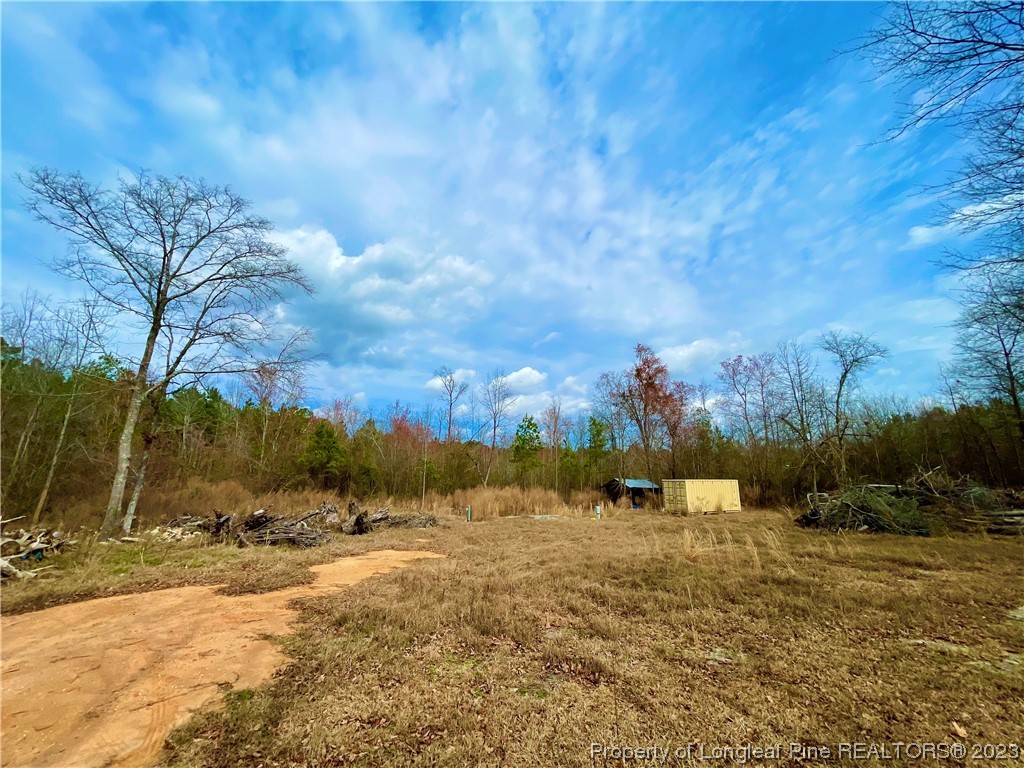 2009 Edinburgh Road Red Springs, NC 28377 - Photo 2 of 7 Gallery Image 2