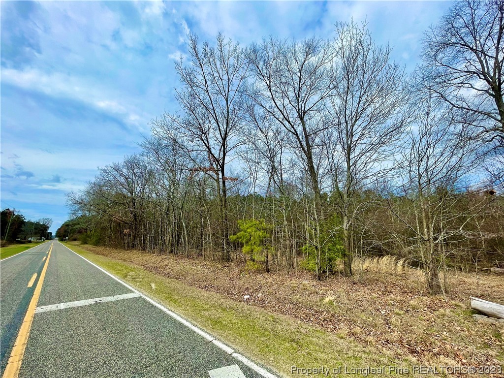 2009 Edinburgh Road Red Springs, NC 28377 - Photo 3 of 7 Gallery Image 3