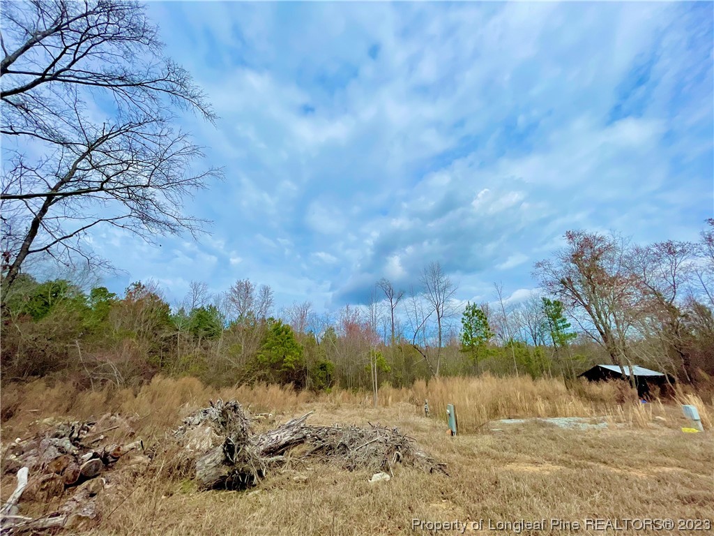 2009 Edinburgh Road Red Springs, NC 28377 - Photo 5 of 7 Gallery Image 5