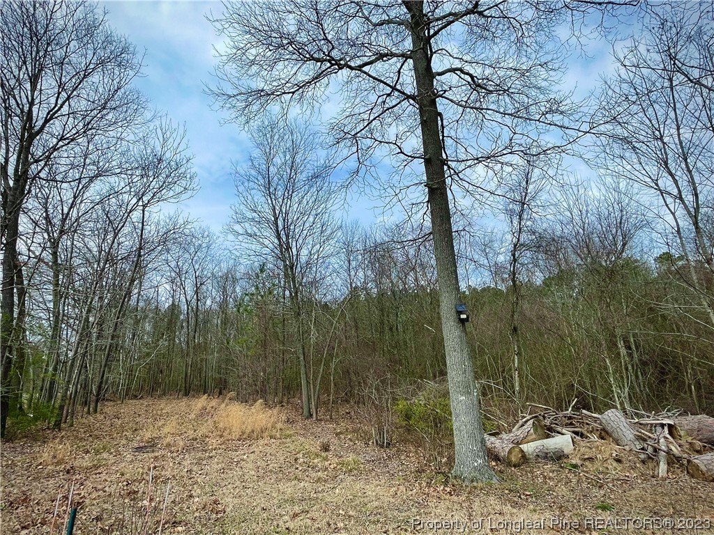 2009 Edinburgh Road Red Springs, NC 28377 - Photo 6 of 7 Gallery Image 6
