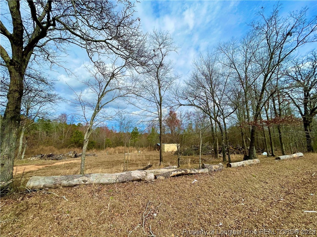 2009 Edinburgh Road Red Springs, NC 28377 - Photo 7 of 7 Gallery Image 7