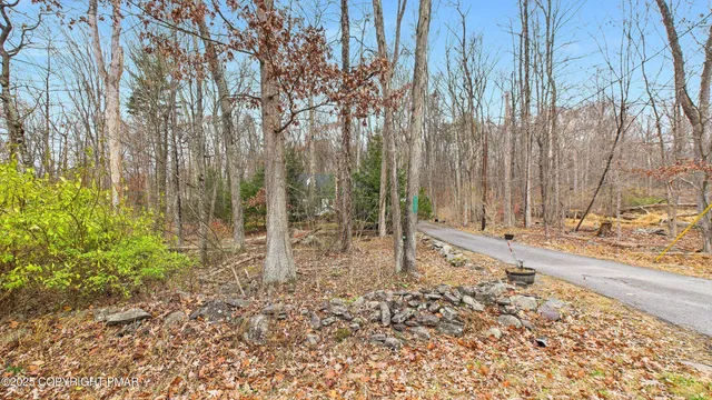 a view of a terrace with a trees