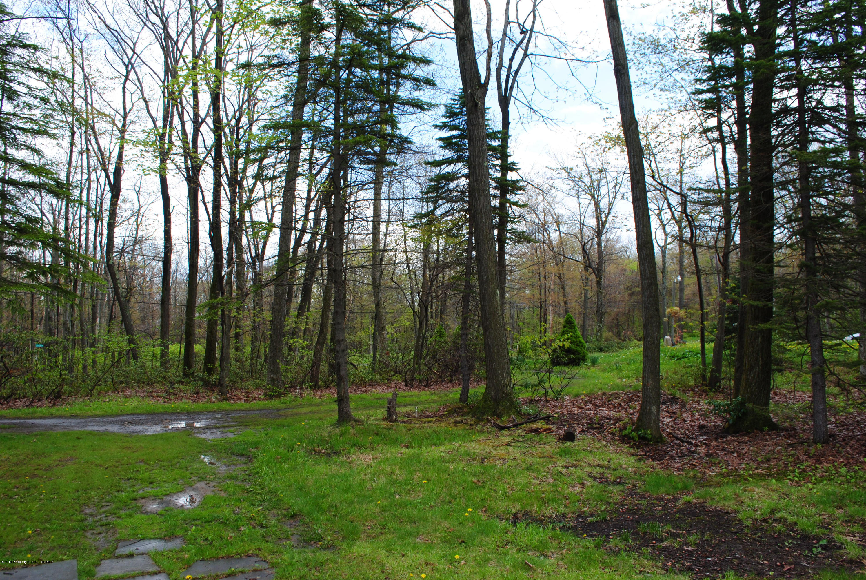 77 Little Lake Road Lake Ariel, PA 18436 - Photo 14 of 27 Gallery Image 14