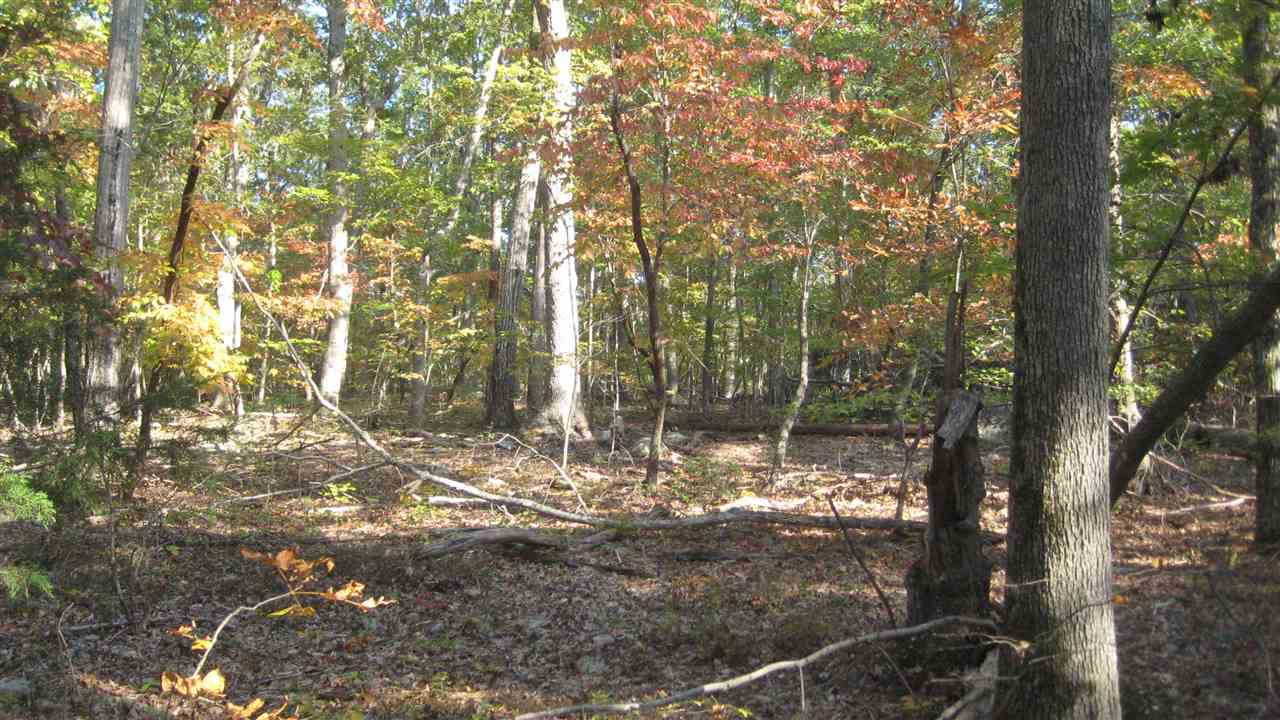 Uwharrie Ridge Road Chapel Hill, NC 27516 - Photo 6 of 10 Looking down left line