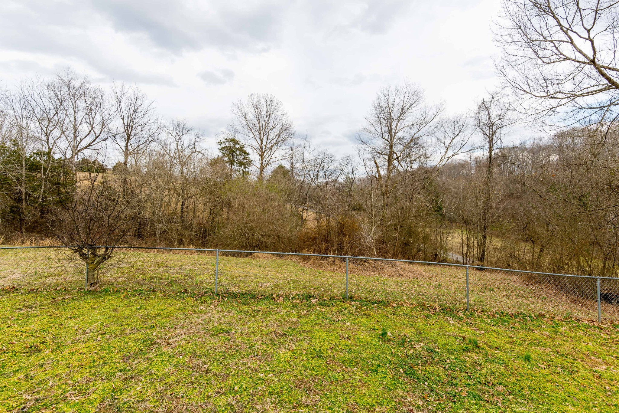 1637 Martins Chapel Church Road Springfield, TN 37172 - Photo 20 of 20 Gallery Image 20