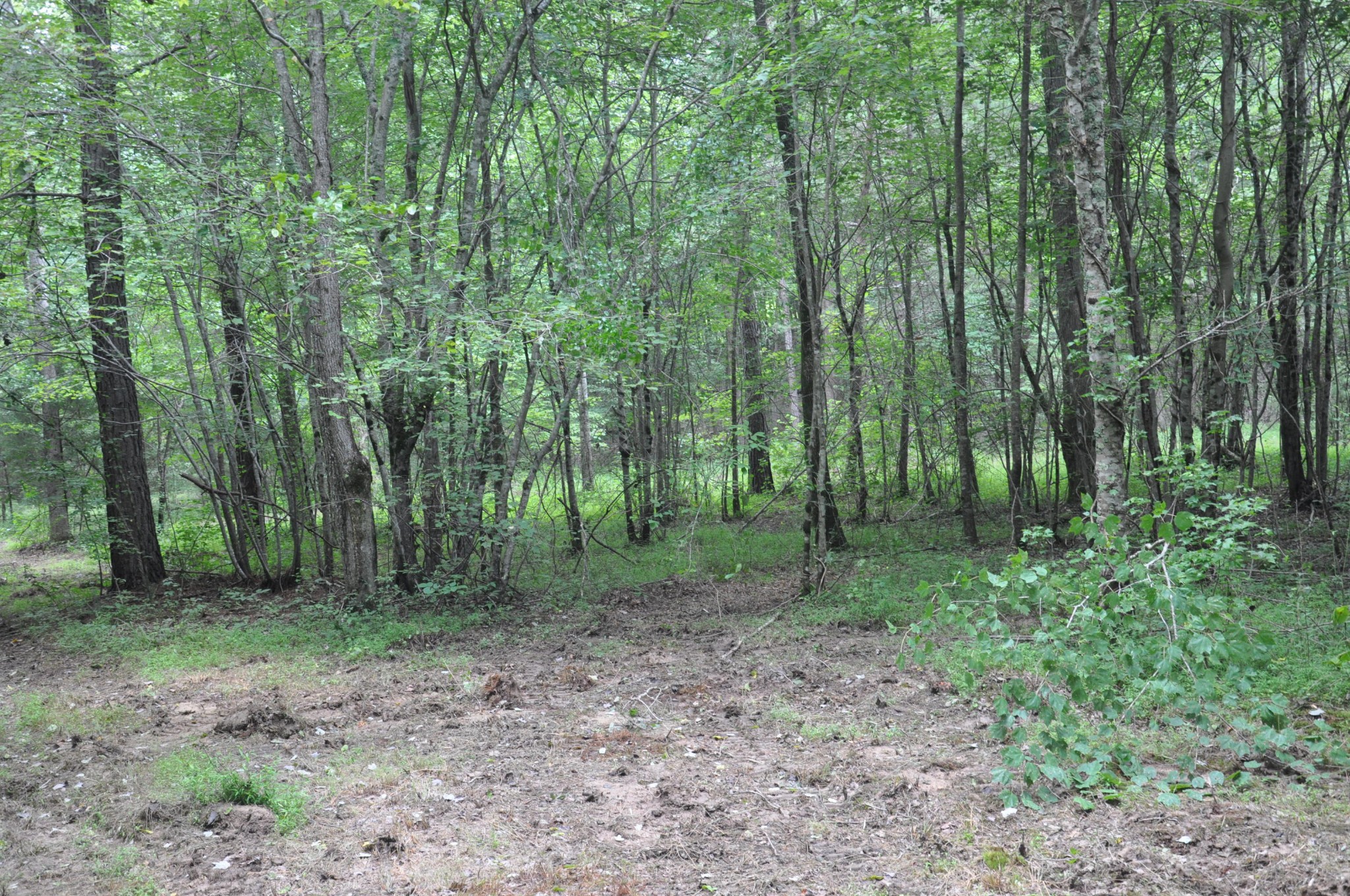 8 Johnston Road McDonald, TN 37353 - Photo 1 of 7 Gallery Image 1