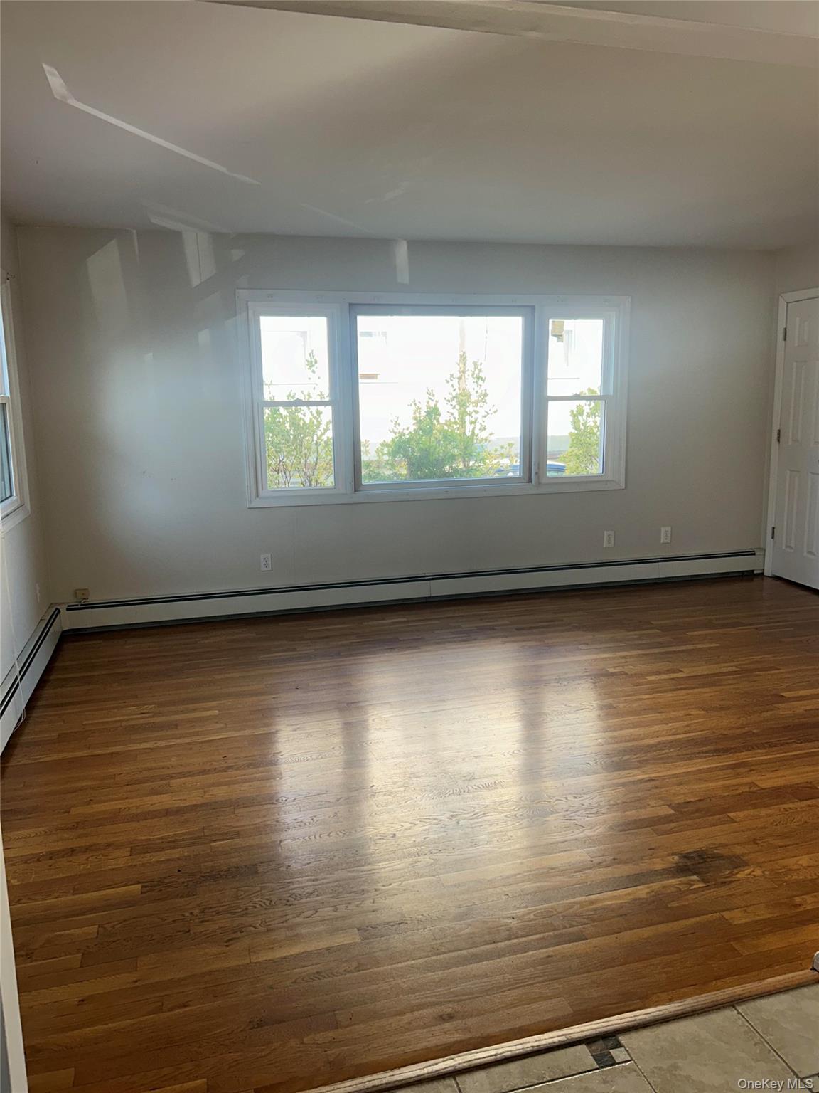 bright and sunny living room