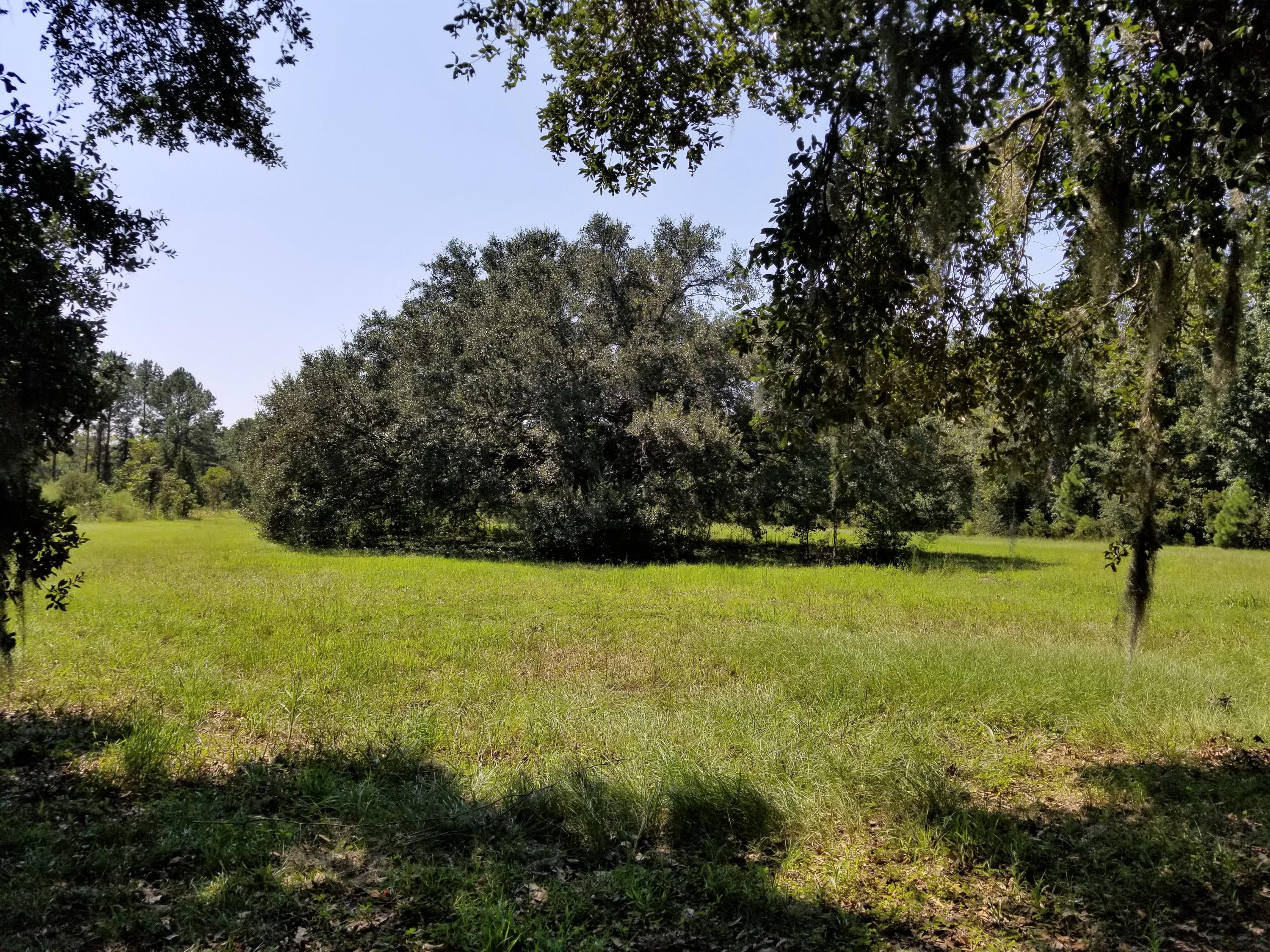 0 Wilsonia Road Meggett, SC 29449 - Photo 3 of 5 Oak 2