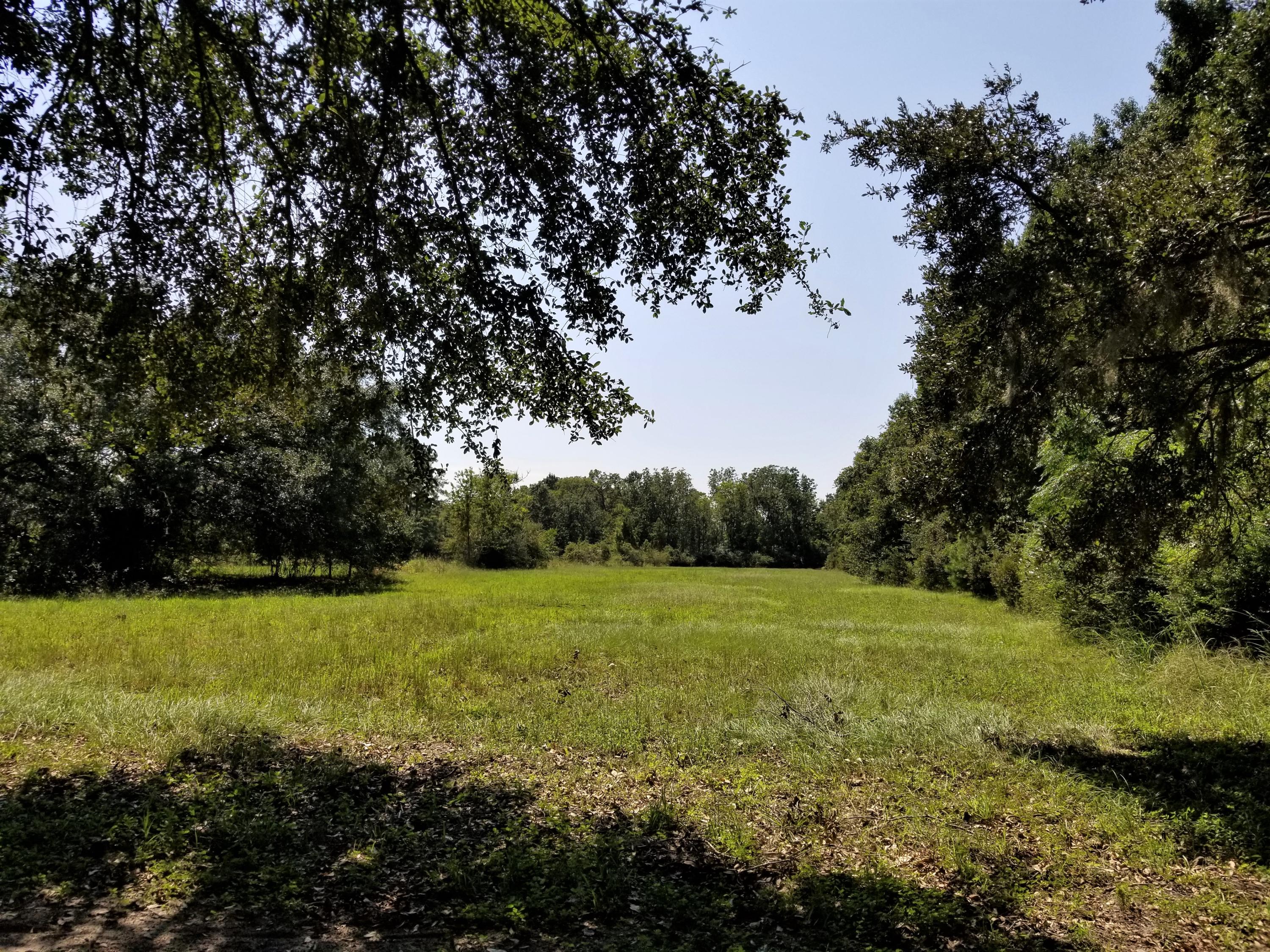 0 Wilsonia Road Meggett, SC 29449 - Photo 4 of 5 Clear cut
