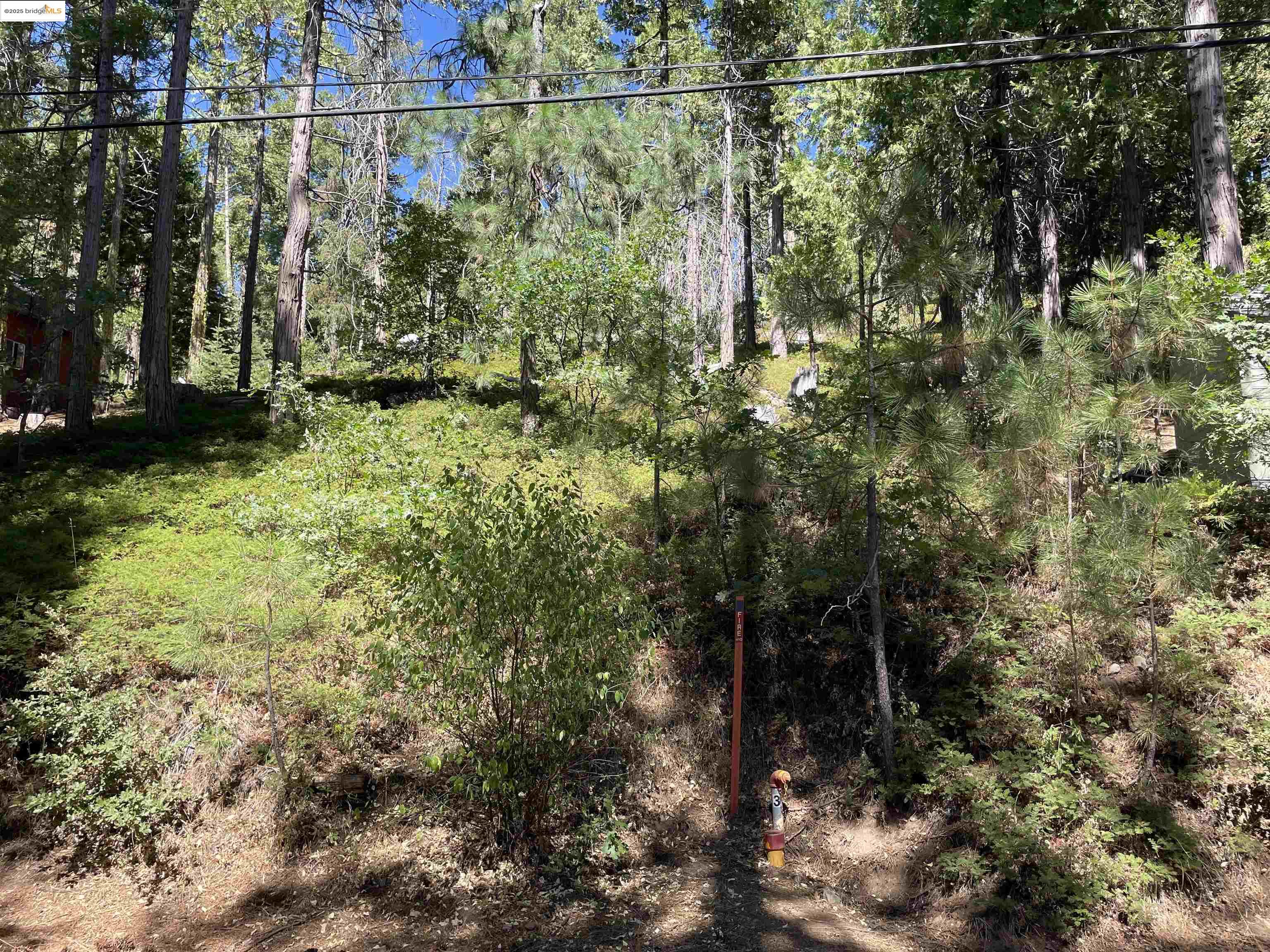 25476 Rebekah Road Long Barn, CA 95335 - Photo 2 of 11 a view of a yard with a tree