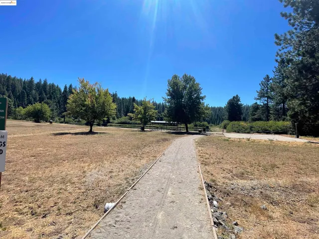 a view of outdoor space with trees
