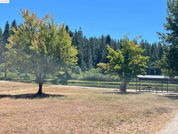 a view of park with tree